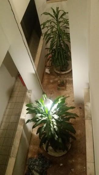 New Byblos Hotel ブラジリア エクステリア 写真